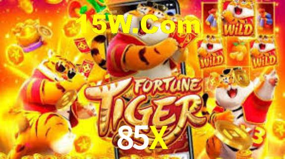 85X